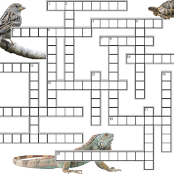 Theory of evolution crossword puzzle