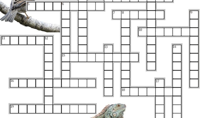 Theory of evolution crossword puzzle