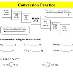 Metric mania length answer key