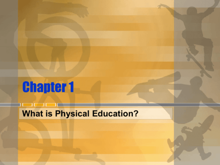 Chapter 12 lesson 1 benefits of physical activity