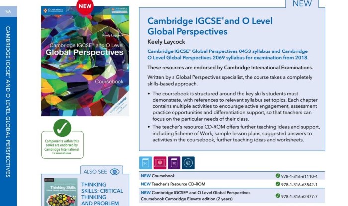 Aice global perspectives component 1 example