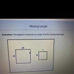 Solve for x the polygons in each pair are similar