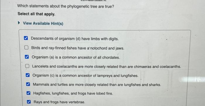 Which statements about the phylogenetic tree are true