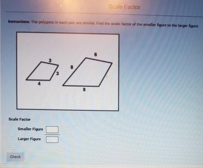 Perimeter polygons solve equation determine