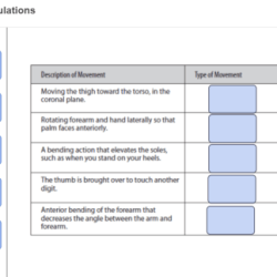 Exercise 11 articulations and body movements review sheet answers