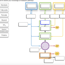 Homework solved transcribed text show