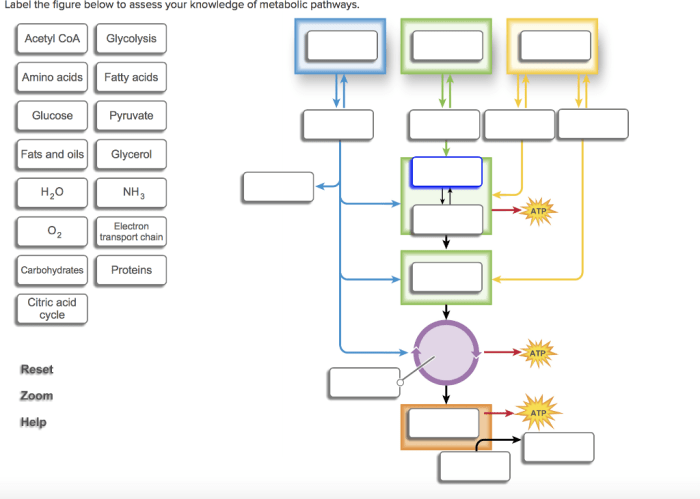 Homework solved transcribed text show